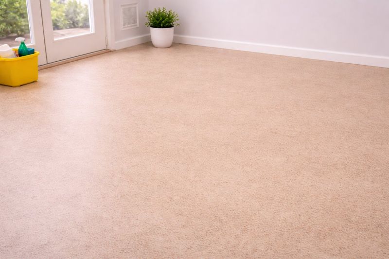 Sheet Linoleum Installation in Oviedo, FL